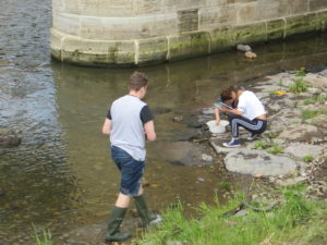 Untersuchung Gewässergüte