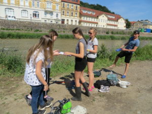 Untersuchungen biologische Gewässergüte