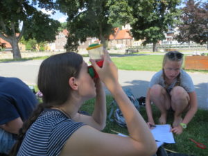 Untersuchungen biologische Gewässergüte