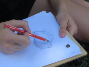 Untersuchungen biologische Gewässergüte